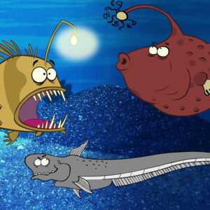 I’m a Fish - Image 3
