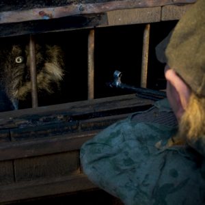 Peter & The Wolf - Image 7