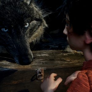 Peter & The Wolf - Image 4