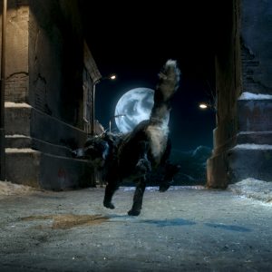 Peter & The Wolf - Image 9